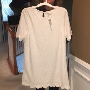 Knee length, scalloped printed, stretch dress